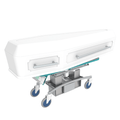 Chapel / Transfer Trolley